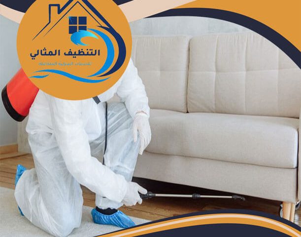 شركة مكافحة حشرات بالجبيل