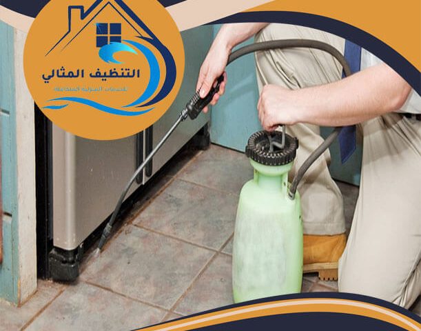 شركة مكافحة حشرات بالدمام
