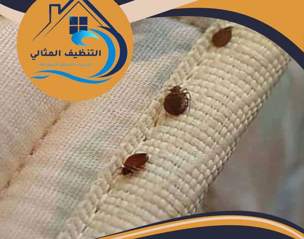 شركة مكافحة العتة بالجبيل