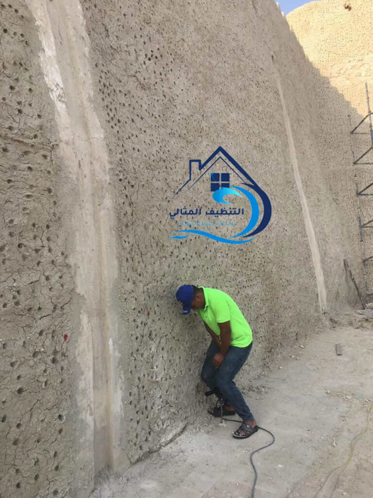 شركة رش صراصير
