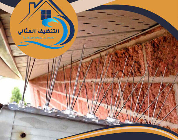 شركة تركيب طارد الحمام ببقيق