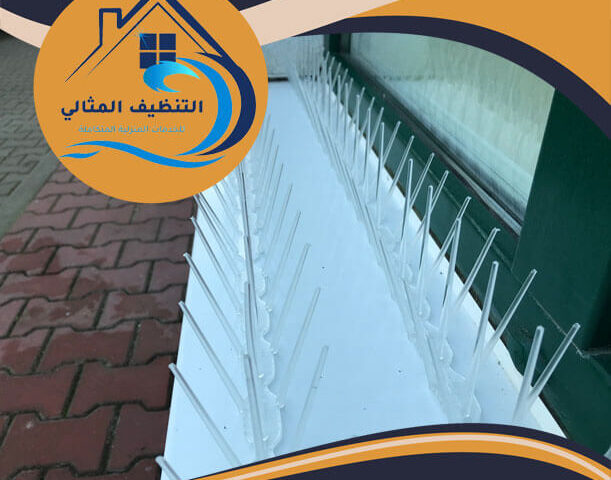 شركة تركيب طارد الحمام برأس تنورة