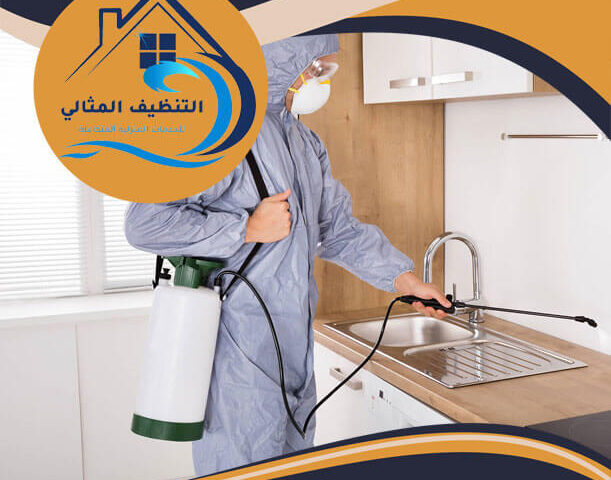 شركة مكافحة حشرات بالقطيف