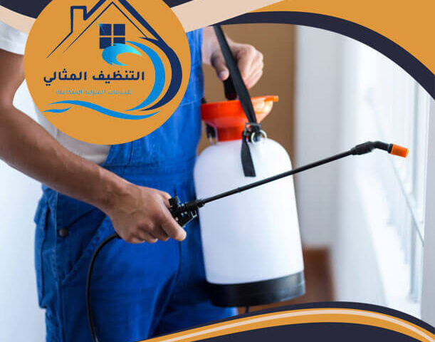 شركة مكافحة حشرات ببقيق