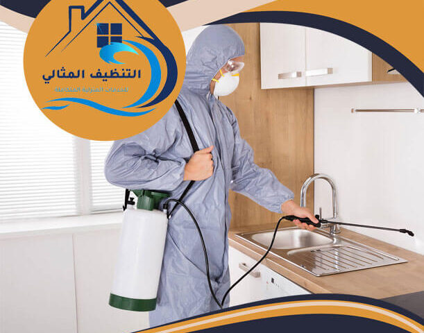 شركة مكافحة حشرات برأس تنورة